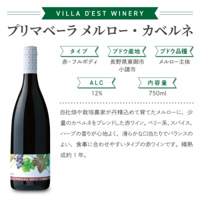 国産ワインコンクール銀賞!長野ワイン 赤白 4本セット【ヴィラデストワイナリー】