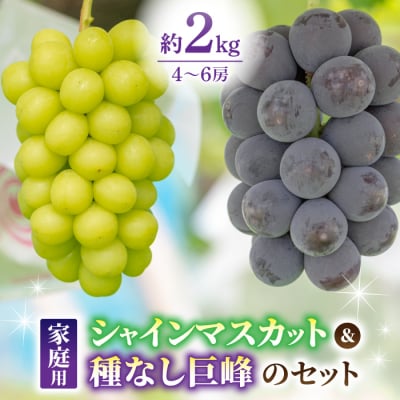 先行受付2025年発送【果樹園清兵衛】ご家庭用シャインマスカットと種無し巨峰の詰め合わせ　約2kg