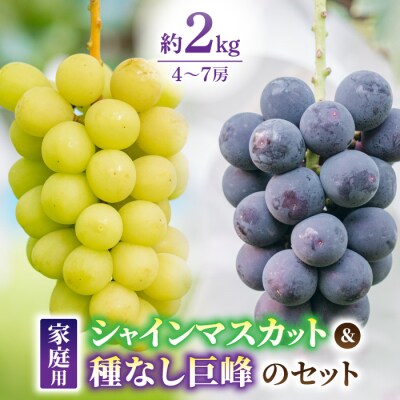 【先行受付2026年発送】ご家庭用シャインマスカットと種無し巨峰の詰め合わせ　約2kg(4～7房)