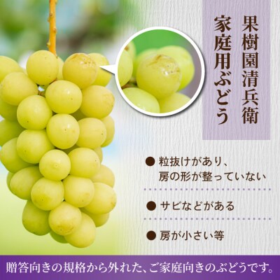 【先行受付2026年発送】ご家庭用シャインマスカットと種無し巨峰の詰め合わせ　約2kg(4～7房)