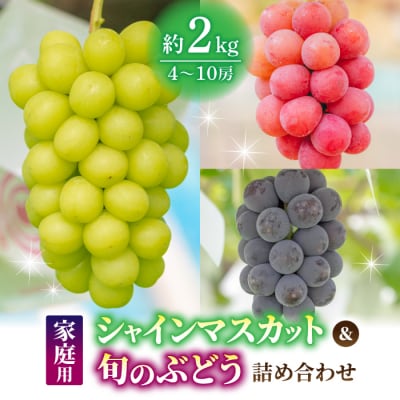 【果樹園清兵衛】ご家庭用シャインマスカットと旬のブドウの詰め合わせ約2kg(4〜10房)