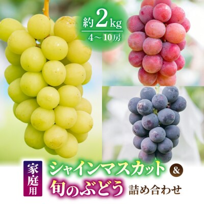 【果樹園清兵衛】ご家庭用シャインマスカットと旬のブドウの詰め合わせ約2kg(4〜10房)