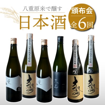 【全6回】八重原米で醸す日本酒6本頒布会(坐kura / 大信州 / 天土amatsuchi )