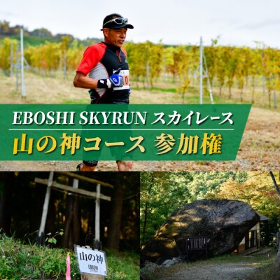 EBOSHI SKYRUN(山の神コース:初級)参加権