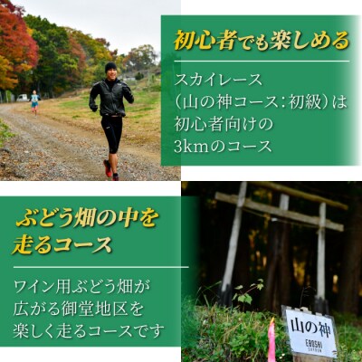 EBOSHI SKYRUN(山の神コース:初級)参加権