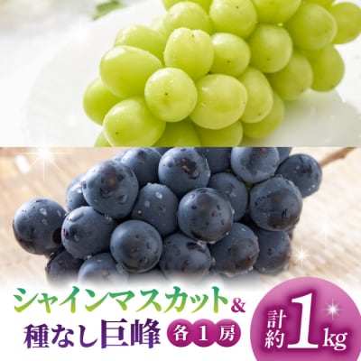 先行受付2025年発送【さとのみ果樹園】シャインマスカット&種なし巨峰各1房(約1kg)