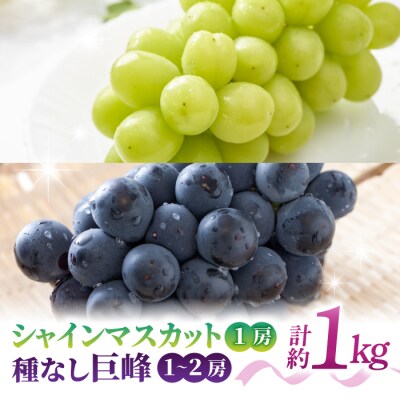 【先行受付2026年発送】シャインマスカット1房&種なし巨峰1～2房(合計1kg以上)さとのみ果樹園