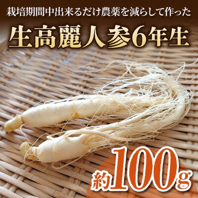 【長野県東御市産】栽培期間中出来るだけ農薬を減らして作った国産生高麗人参6年生 約100g(省き品)