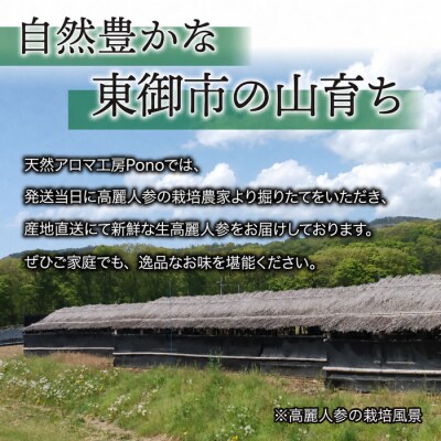 【長野県東御市産】栽培期間中出来るだけ農薬を減らして作った国産生高麗人参6年生 約100g(省き品)