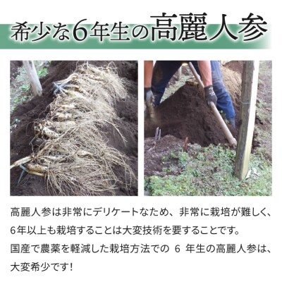 【長野県東御市産】栽培期間中出来るだけ農薬を減らして作った国産生高麗人参6年生 約100g(省き品)