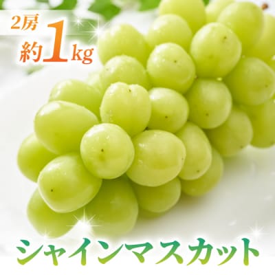 【先行受付2026年発送】【さとのみ果樹園】シャインマスカット2房(1kg以上) 