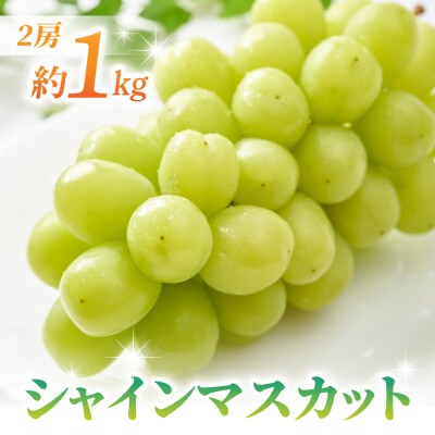 【先行受付2026年発送】シャインマスカット2房(1kg以上) 【さとのみ果樹園】