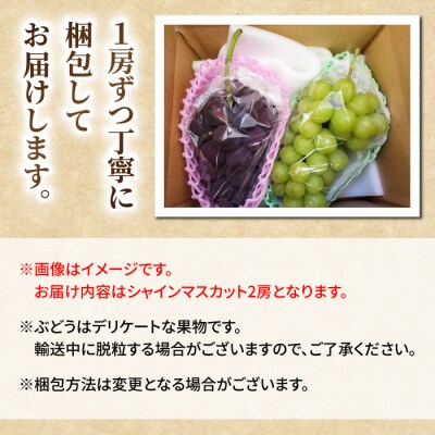 【先行受付2026年発送】シャインマスカット2房(1kg以上) 【さとのみ果樹園】