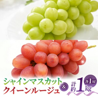 【先行受付2026年発送】【さとのみ果樹園】シャインマスカット&クイーンルージュ(R)各1房