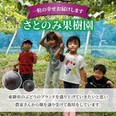 先行受付2025年発送【さとのみ果樹園】シャインマスカット&クイーンルージュ各1房(計1kg以上)