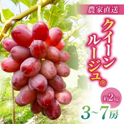 【先行受付2026年発送】農家直送!朝採れクイーンルージュ(R)3～7房(約2kg)|おぎはら園