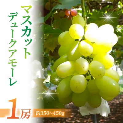 【草生栽培】マスカット・デュークアモーレ ご贈答品 1房(約350〜450g)| 高級ぶどう
