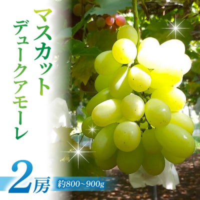 【草生栽培】マスカット・デュークアモーレ ご贈答品 2房(約800〜900g)| 高級ぶどう