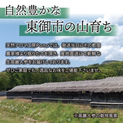 【長野県東御市産】栽培期間中出来るだけ農薬を減らして作った国産生高麗人参6年生 約130g(省き品)