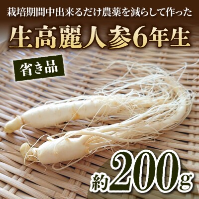 【長野県東御市産】栽培期間中出来るだけ農薬を減らして作った国産生高麗人参6年生 約200g(省き品)