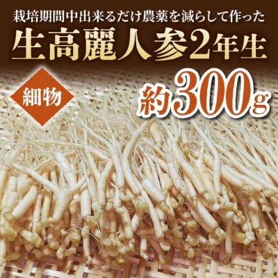 【栽培期間出来るだけ農薬を減らして作った 生高麗人参】2年生 細物 約300g 国産 朝鮮人参