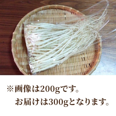 【栽培期間出来るだけ農薬を減らして作った 生高麗人参】2年生 細物 約300g 国産 朝鮮人参
