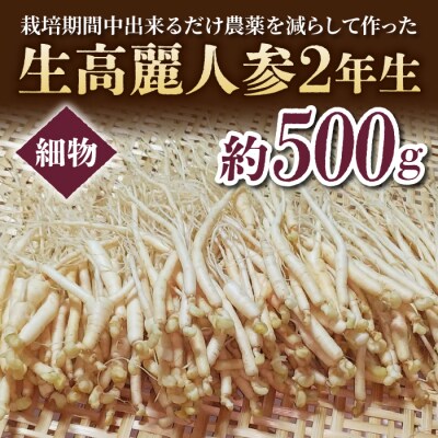 【長野県東御市産】栽培期間中出来るだけ農薬を減らして作った国産生高麗人参 2年生 細物 約500g