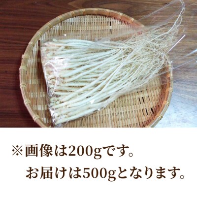 【長野県東御市産】栽培期間中出来るだけ農薬を減らして作った国産生高麗人参 2年生 細物 約500g