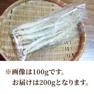 【栽培期間出来るだけ農薬を減らして作った 生高麗人参】2年生 太物 約200g 国産 朝鮮人参
