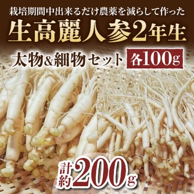 【長野県東御市産】栽培期間中出来るだけ農薬を減らして作った国産生高麗人参 2年生 太物&細物のセット