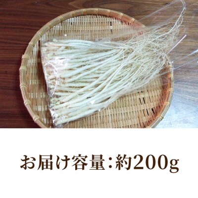 【栽培期間出来るだけ農薬を減らして作った 生高麗人参】2年生 細物 約200g 国産 朝鮮人参