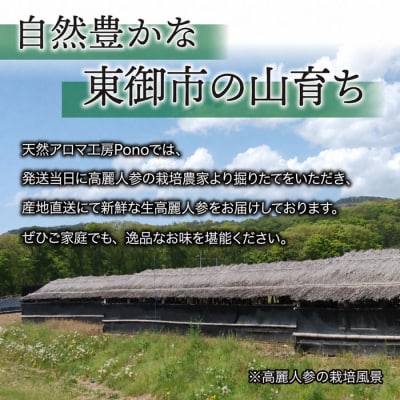 【栽培期間出来るだけ農薬を減らして作った 生高麗人参】2年生 細物 約200g 国産 朝鮮人参