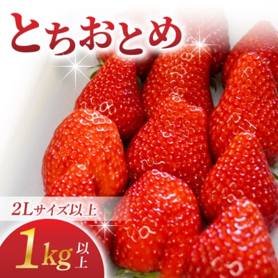 長野県産 いちご「とちおとめ」1kg以上|BERRY PLANTS FACTORY 東御市