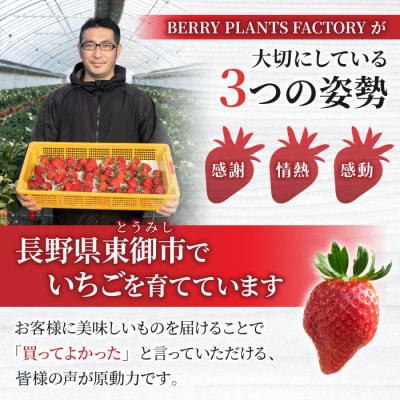 長野県産 いちご「とちおとめ」1kg以上|BERRY PLANTS FACTORY 東御市