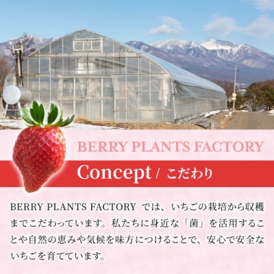 【BERRY PLANTS FACTORY】東御市産とちおとめ1kg以上