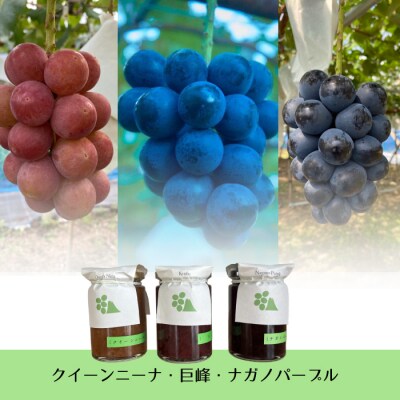 【おぎはら園】ぶどう園の3種のぶどうジャムセット(巨峰、ナガノパープル、クイーンニーナ)各140g