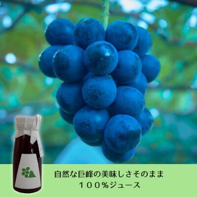 【おぎはら園】ぶどう園の巨峰ジュース(180ml×10本)