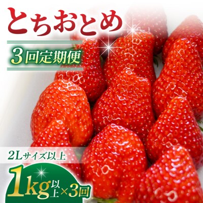 【3回定期便】東御市産いちご「とちおとめ」(1kg以上)