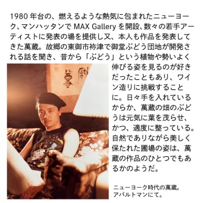 【鹿之助萬蔵】彫刻家がつくる赤白ワイン4種飲み比べ(4本)