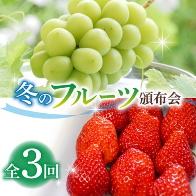 とうみの果物　冬のフルーツ頒布会(3回コース)冬出しシャインマスカットといちごの頒布会