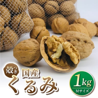 【アルファーム】信濃くるみ　殻付きタイプ(Mサイズ)