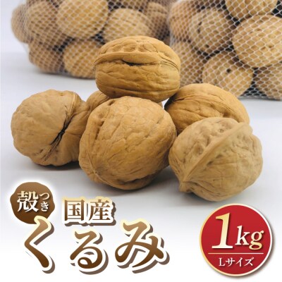 【アルファーム】令和7年産信濃くるみ　殻付きタイプ(Lサイズ)※2025年11月下旬以降発送
