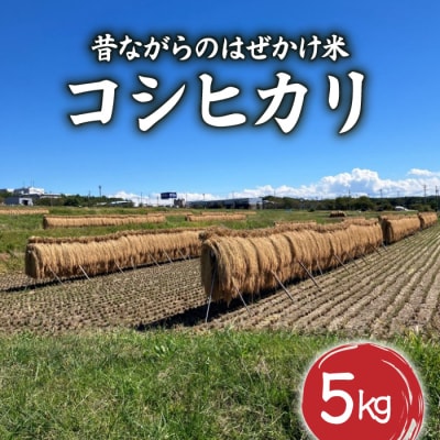 昔ながらのはぜかけ米コシヒカリ　白米5kg(令和8年産新米) 【ならはら農園】