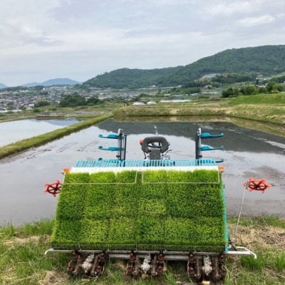 昔ながらのはぜかけ米コシヒカリ　白米5kg(令和8年産新米) 【ならはら農園】