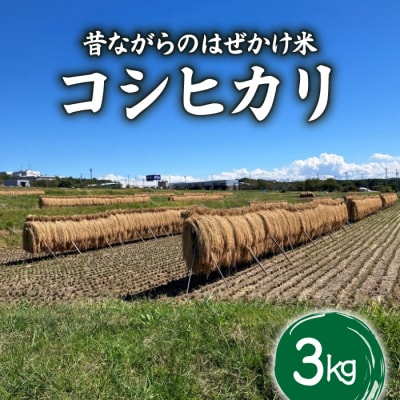 昔ながらのはぜかけ米コシヒカリ　白米3kg(令和8年産新米) 【ならはら農園】
