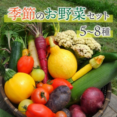 【アグロノーム】季節のお野菜セット(2〜3人様向け)