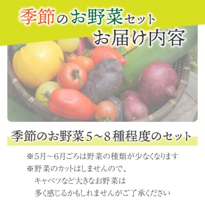 【アグロノーム】季節のお野菜セット(2〜3人様向け)