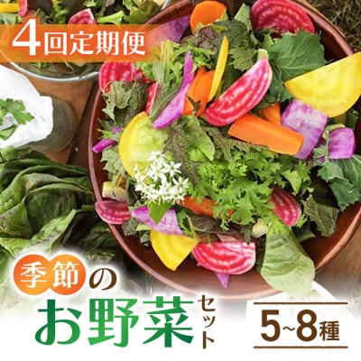 【4回定期便】季節のお野菜セット(2〜3人様向け)|アグロノーム※2026年1月以降発送
