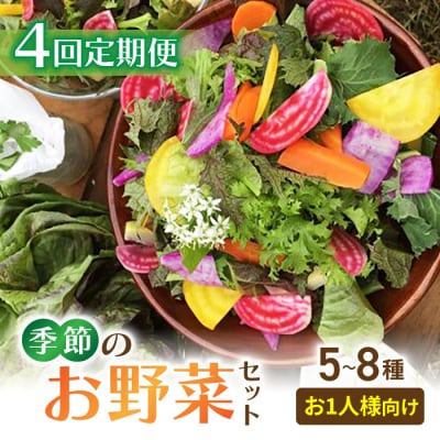 【4回定期便】お試し季節のお野菜セット(お一人様向け)|アグロノーム※2026年1月以降発送