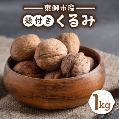 信濃くるみ 殻付き 1kg 【長野県東御市産ブランド】某テレビ番組でも紹介♪ 令和6年産 新物 国産